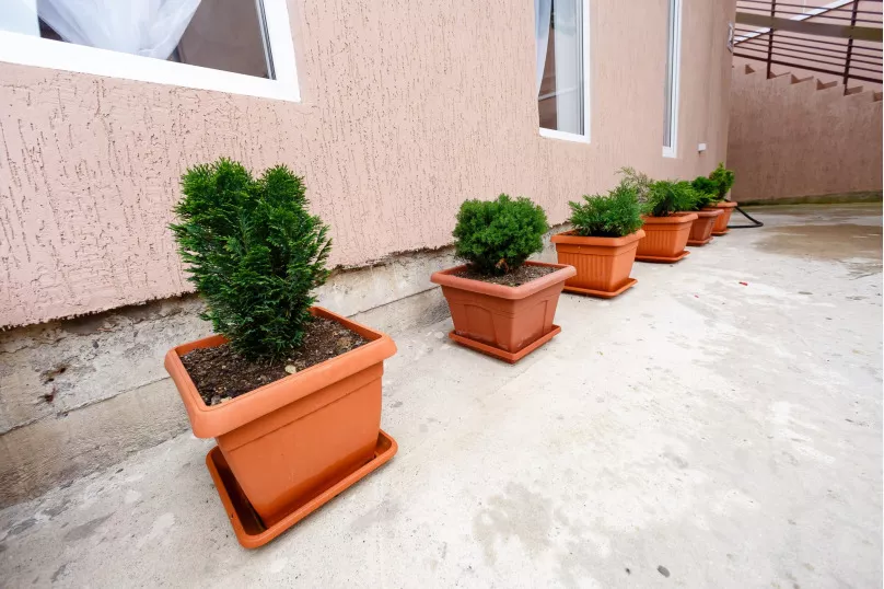 . Гостевой дом У Елены - Якорная Щель. Якорная Щель