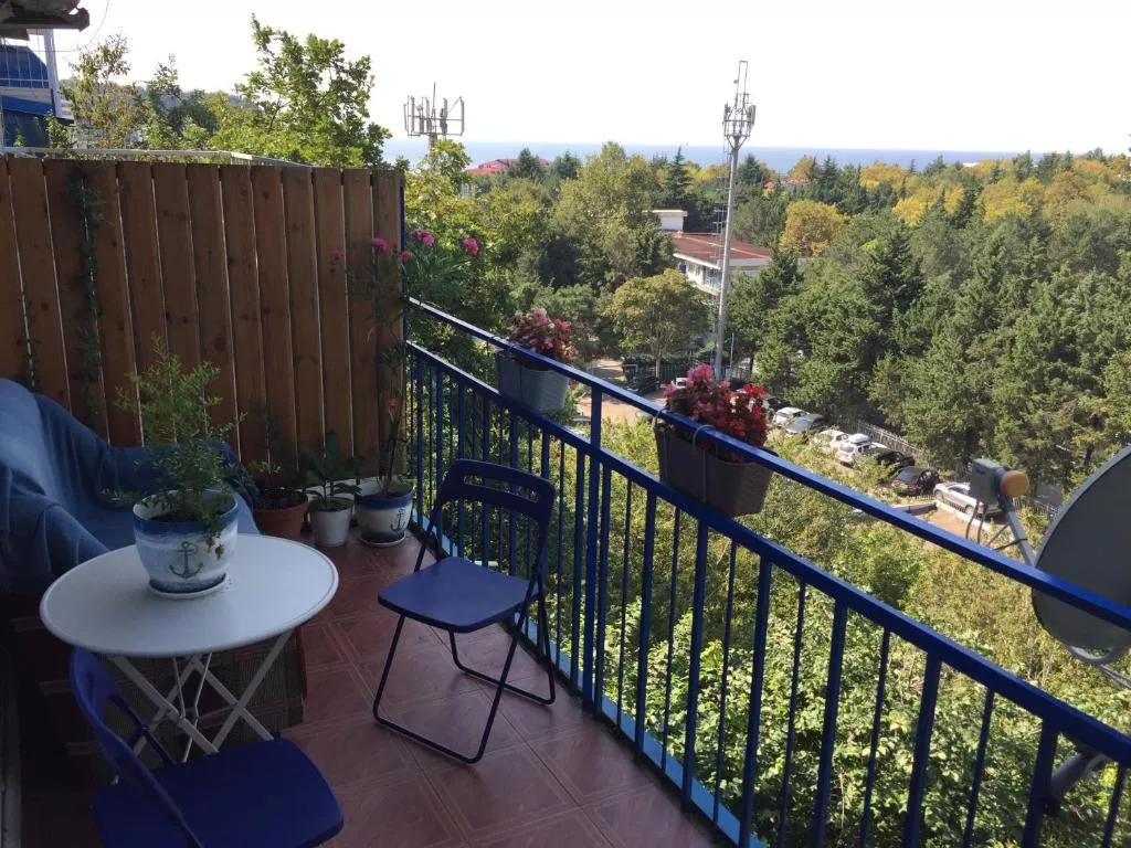 . Гостевой дом "Наутилус" - Ольгинка. Ольгинка