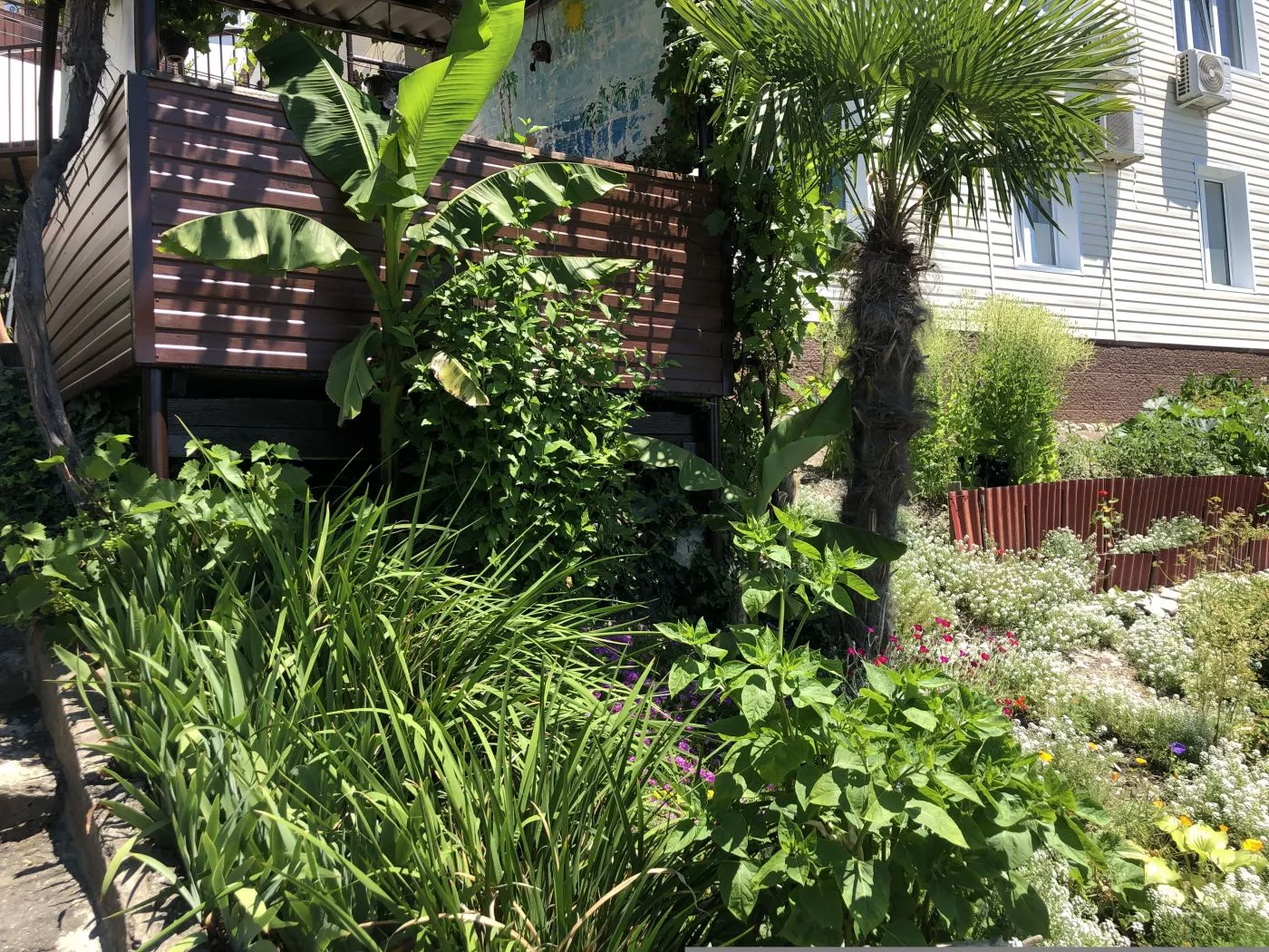 . Квартира со своей личной беседкой и качелями . Лазаревское