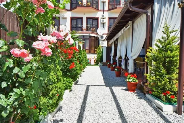 . Гостевой дом «Прага». Кабардинка