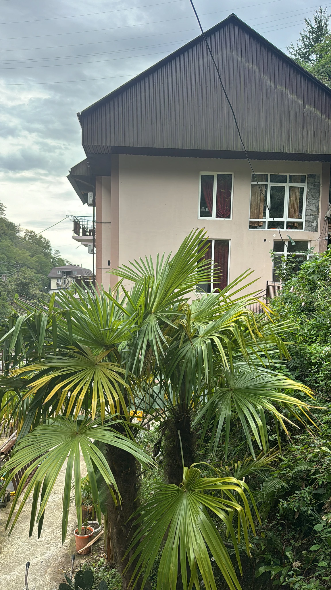 . Гостевой дом "Пантера". Гагра