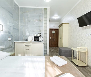 Двухместный комфорт с кухней. Отель "Сочи Галерея Парк". 