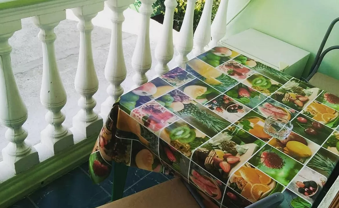 2-х местный с балконом и удобствами в номере. Гостевой дом Светлана на Алычевом. Лоо 2-х местный с балконом и удобствами в номере. Гостевой дом Светлана на Алычевом. Лоо