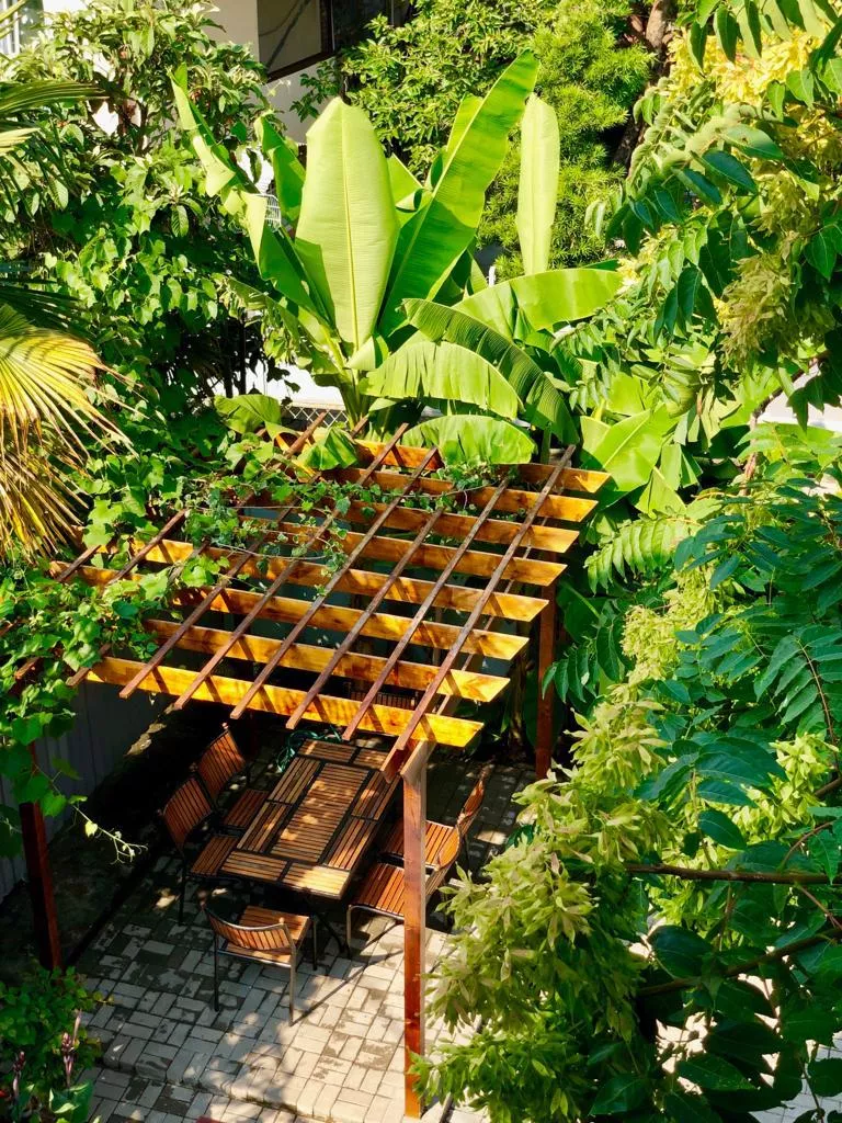 . Отель Capri. Сухум . Отель Capri. Сухум