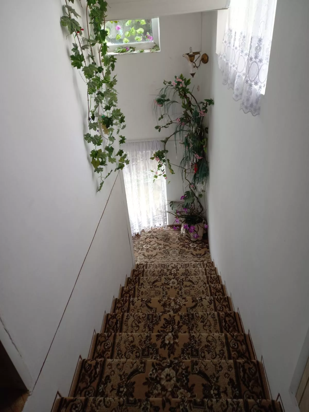 . Гостевой дом "Ласточка" - Лоо. Лоо . Гостевой дом "Ласточка" - Лоо. Лоо