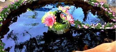 Гостиница "Тихий отель" Гостиница "Тихий отель"