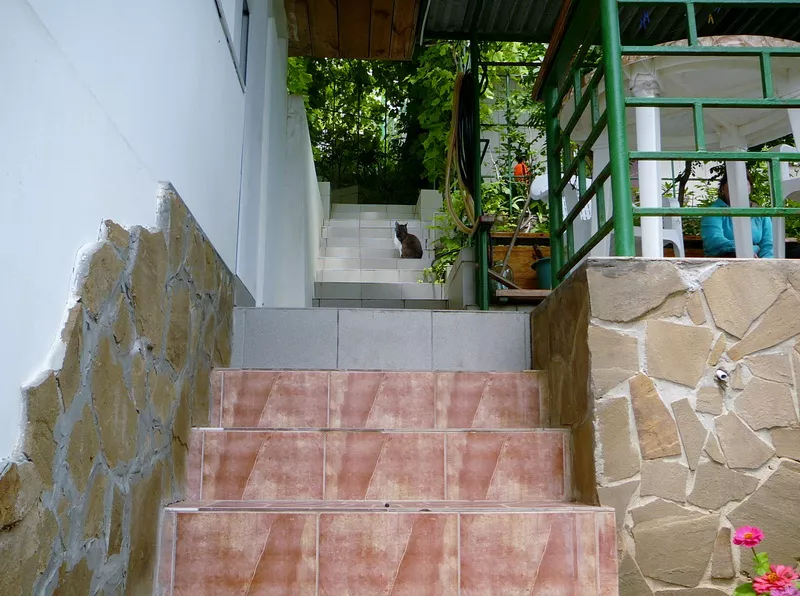 . Эллинг «Юрий». Алупка