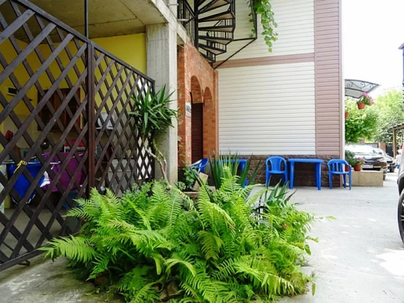 . Частный сектор "Оксана". Архипо-Осиповка . Частный сектор "Оксана". Архипо-Осиповка