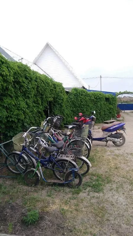 . Гостевой дом "У Ольги" - Должанская. Должанская . Гостевой дом "У Ольги" - Должанская. Должанская