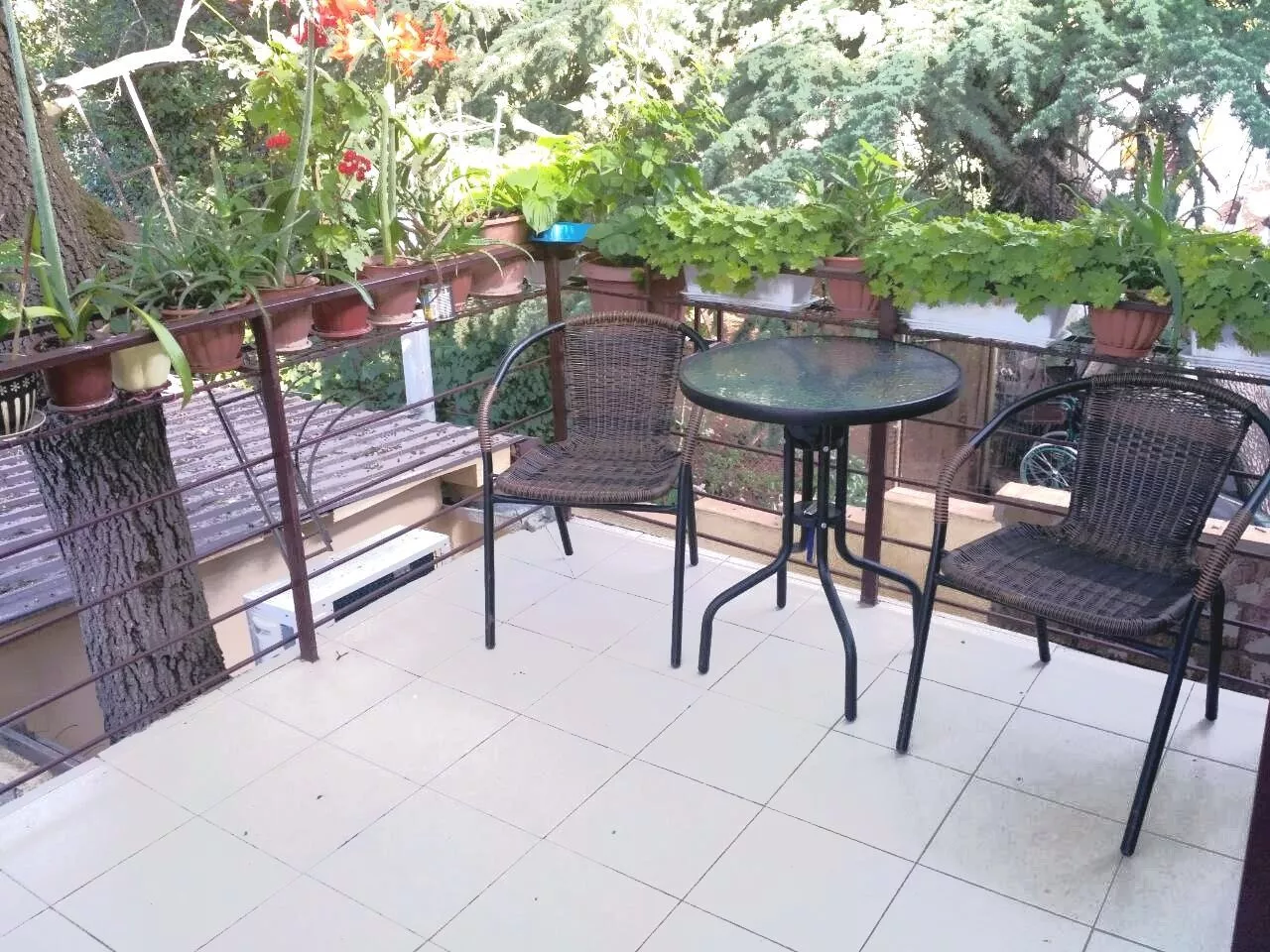 . Частный гостевой дом Ялта. Ялта