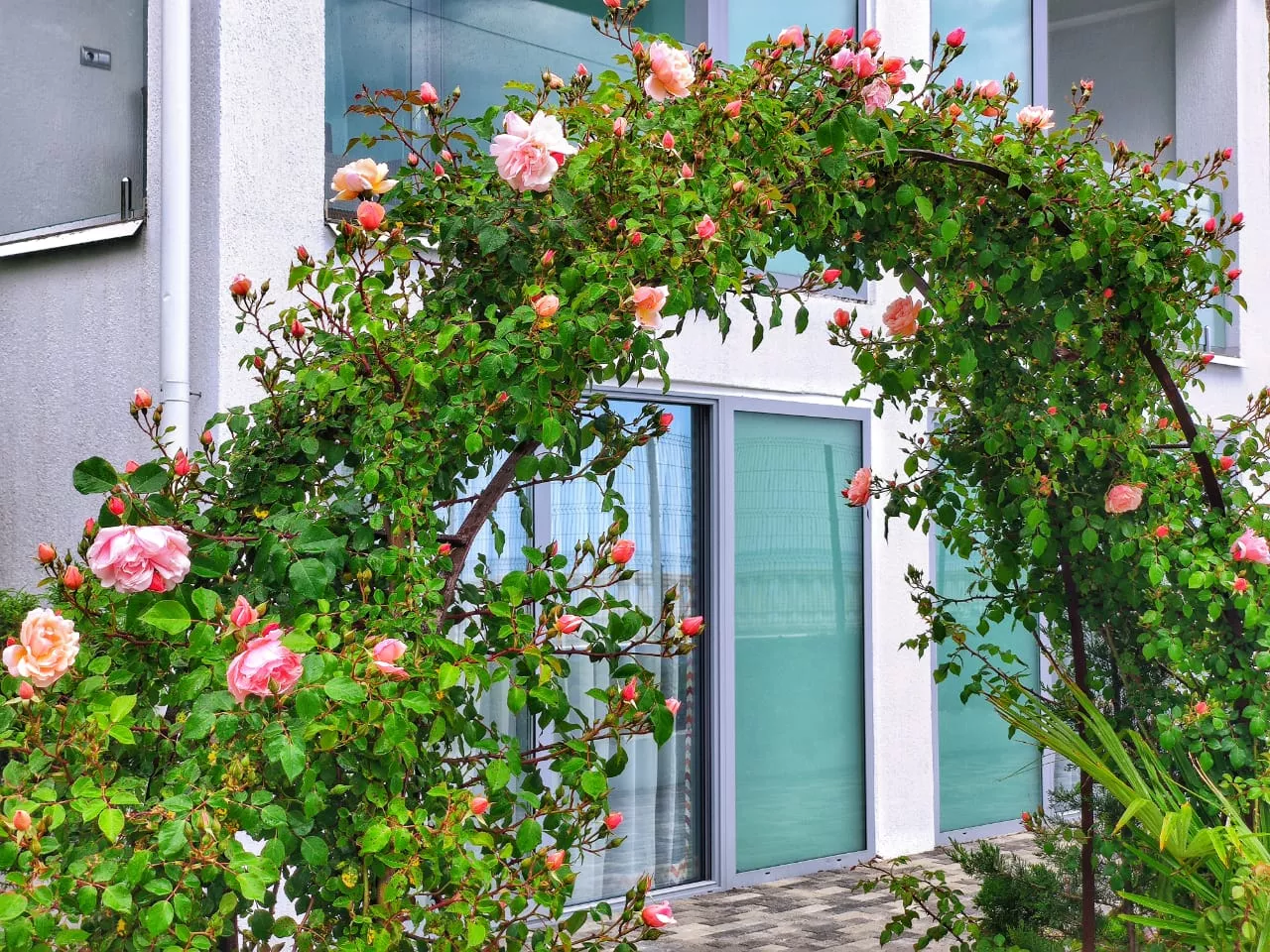 . Отель La Familia. Лоо