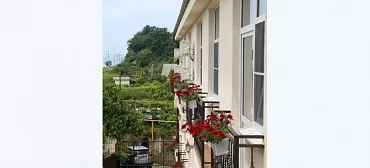 Отель Камбала