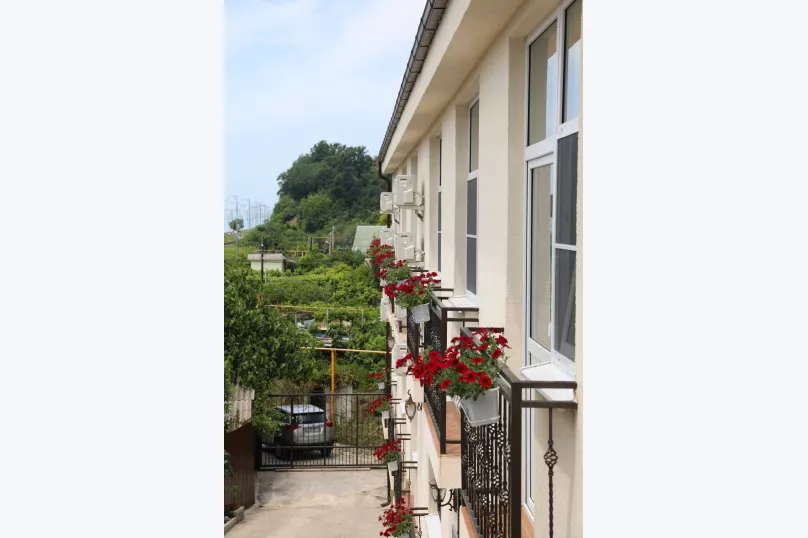 . Отель Камбала. Головинка