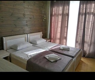 Номер с раздельными кроватями . Гостиница Гагра. 