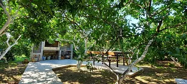 Гостевой дом ЛЕТО Гостевой дом ЛЕТО