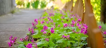 Мини-отель Сан-Сити