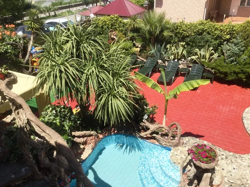 . Отель "Нарния". Адлер