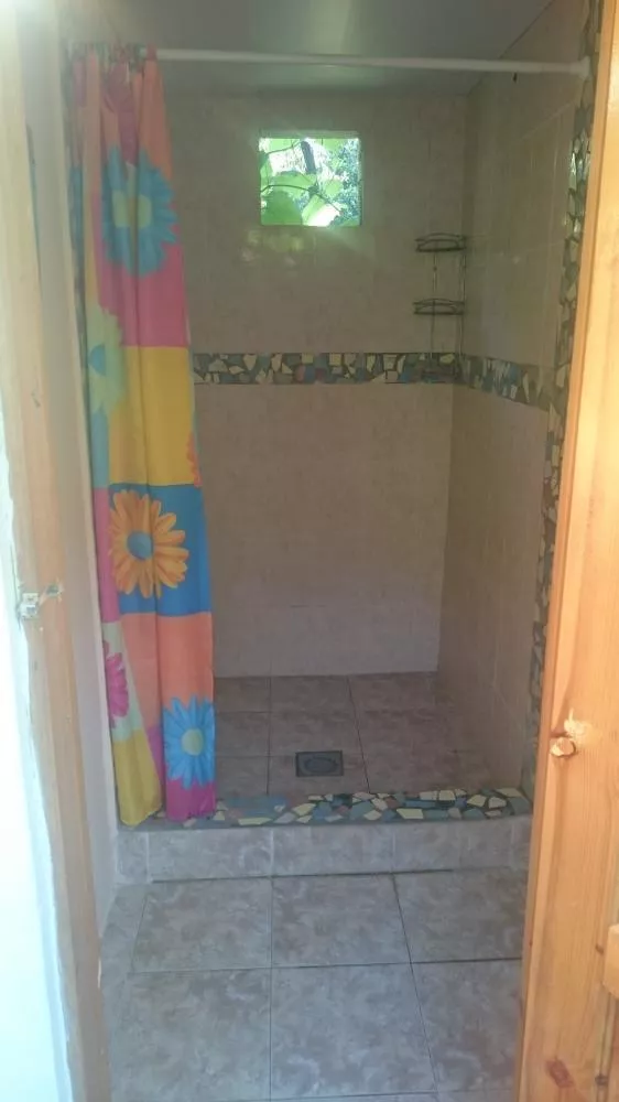 . Частный сектор Приморская 2 в Пицунде. Пицунда . Частный сектор Приморская 2 в Пицунде. Пицунда