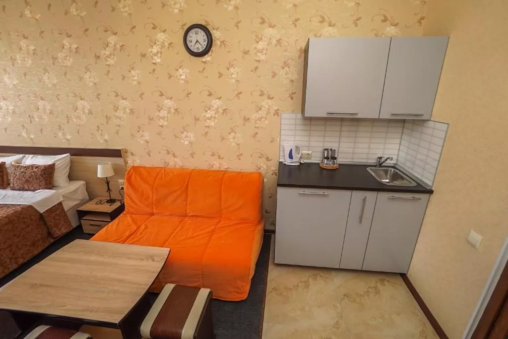 3-х местный номер-студио (с кухней). Апарт-отель «Близнецы». Адлер