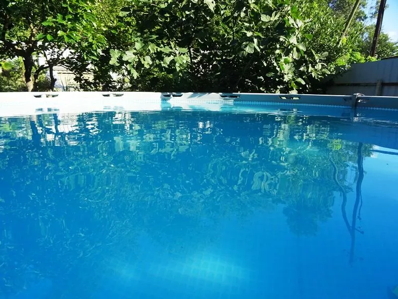 . Гостевой дом Пальма. Якорная Щель