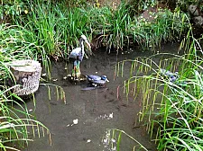 Коттедж Надежда Коттедж Надежда