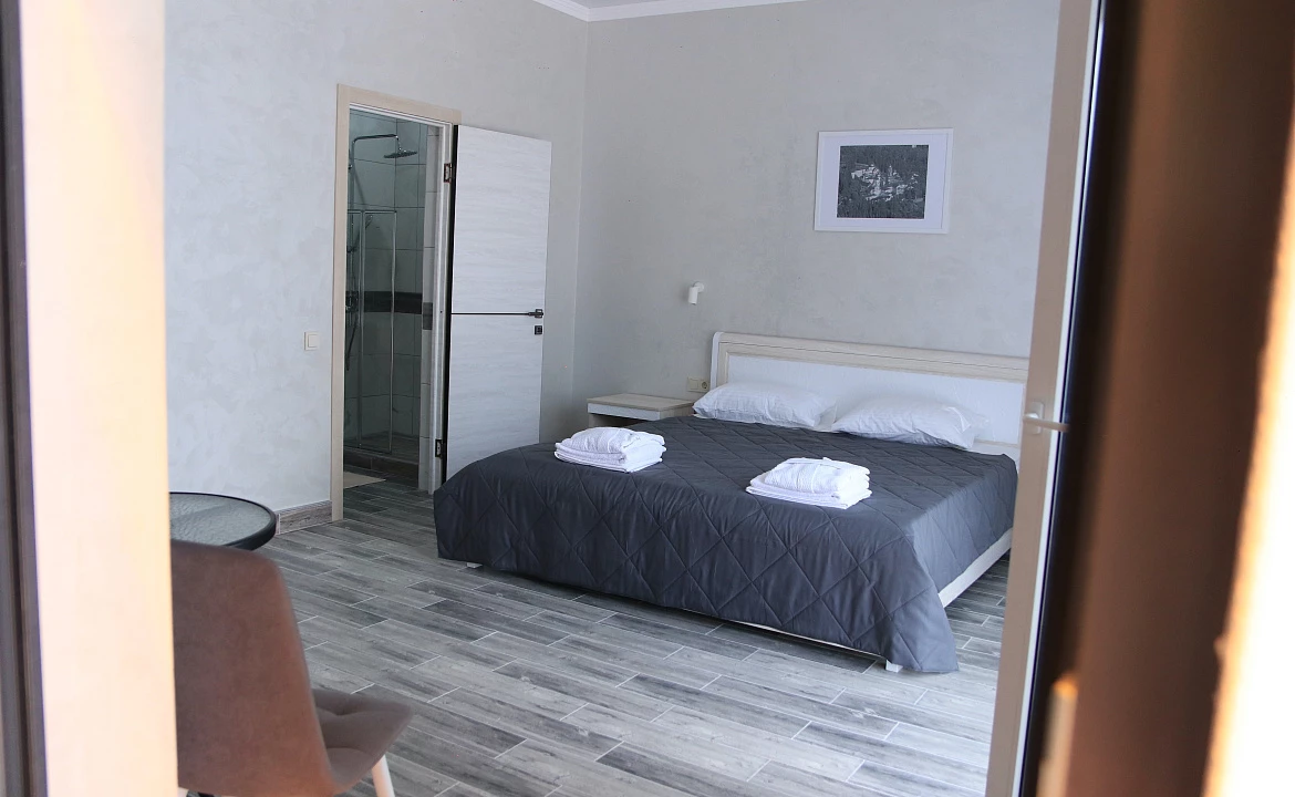 Двухместный номер с одной двуспальной кроватью. Вилла Абхазия. Цандрипш