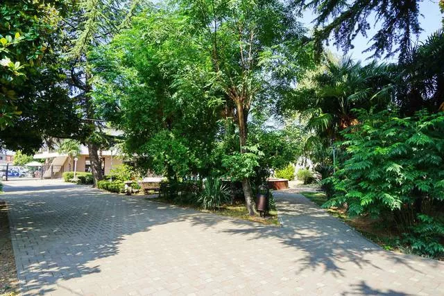 . Пансионат Чайка. Лазаревское