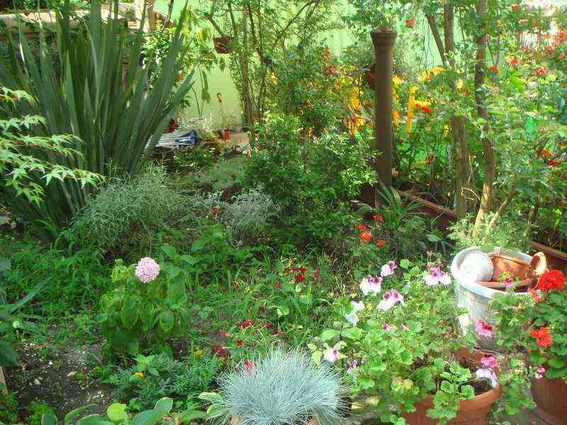 . Частный сектор «Владислав». Сочи