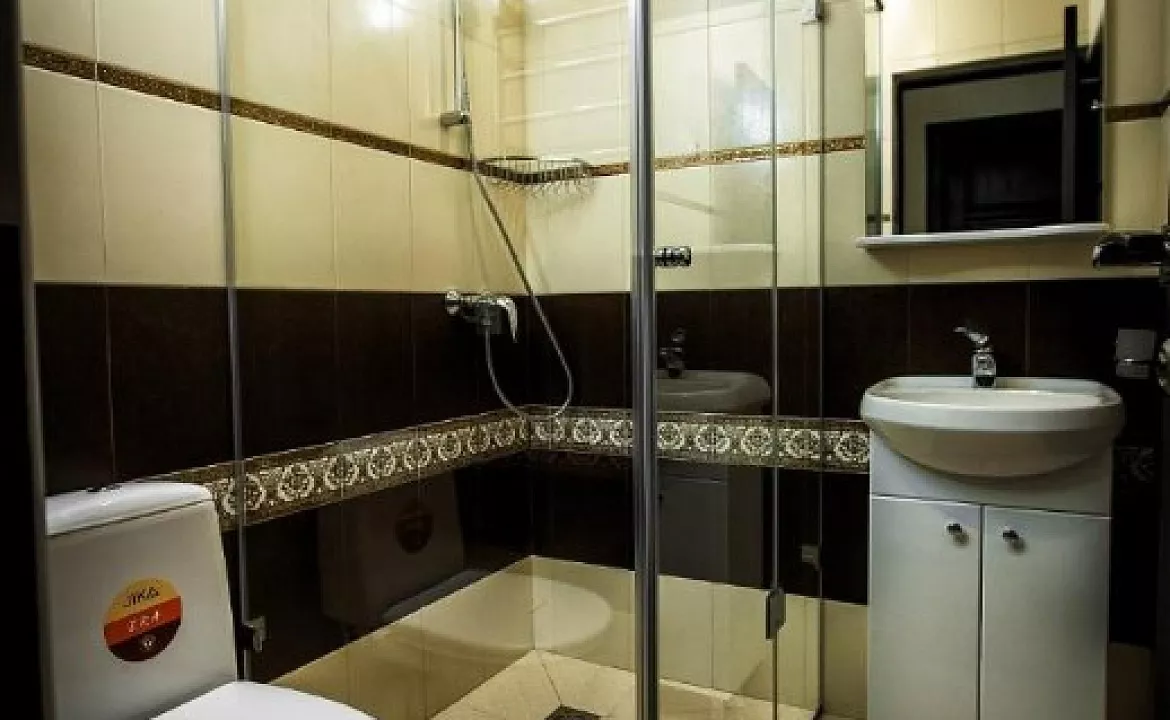 Стандартный двухместный номер с 1 кроватью или 2 отдельными кроватями. Отель Отель Эльпида. Красная Поляна