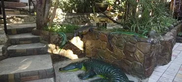 Частный сектор "Тропикано"