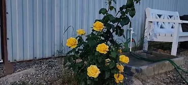 Гостевой дом Вояж