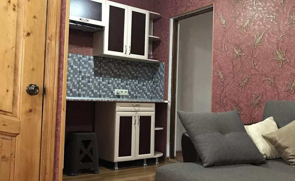 Люкс 2-х местный (2допместа) №6. Гостевой дом "Оазис". Сухум