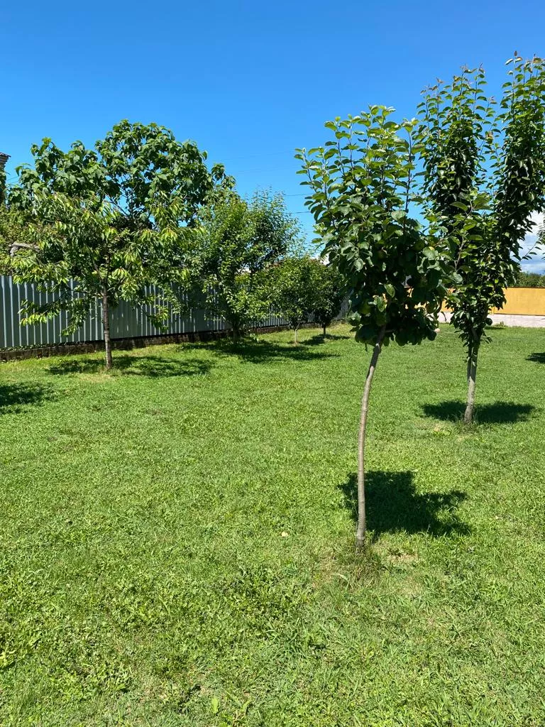 . Частный сектор Белла. Гудаута