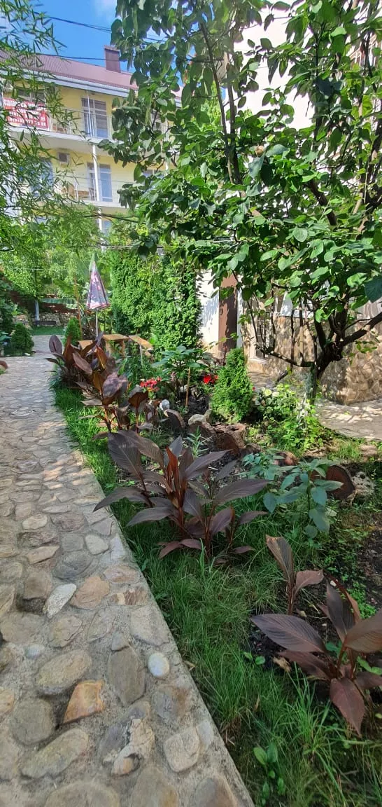 . Гостевой дом ОРИОН. Ольгинка