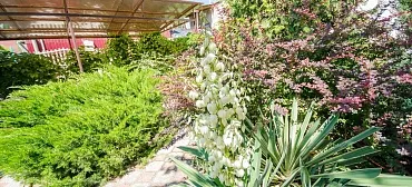 Вилла "Любимая" Вилла "Любимая"