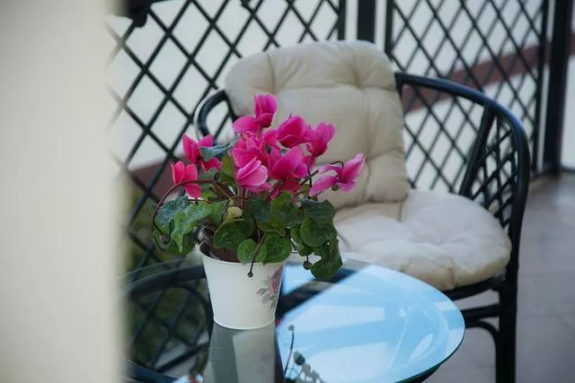 . Гостевой дом «Dynasty на Янтарной». Геленджик