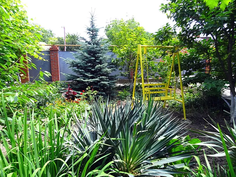 . Гостевой дом "Гостеприимный двор". Дивноморское