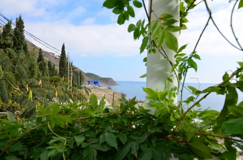 1-КОМНАТНЫЙ НОМЕР 