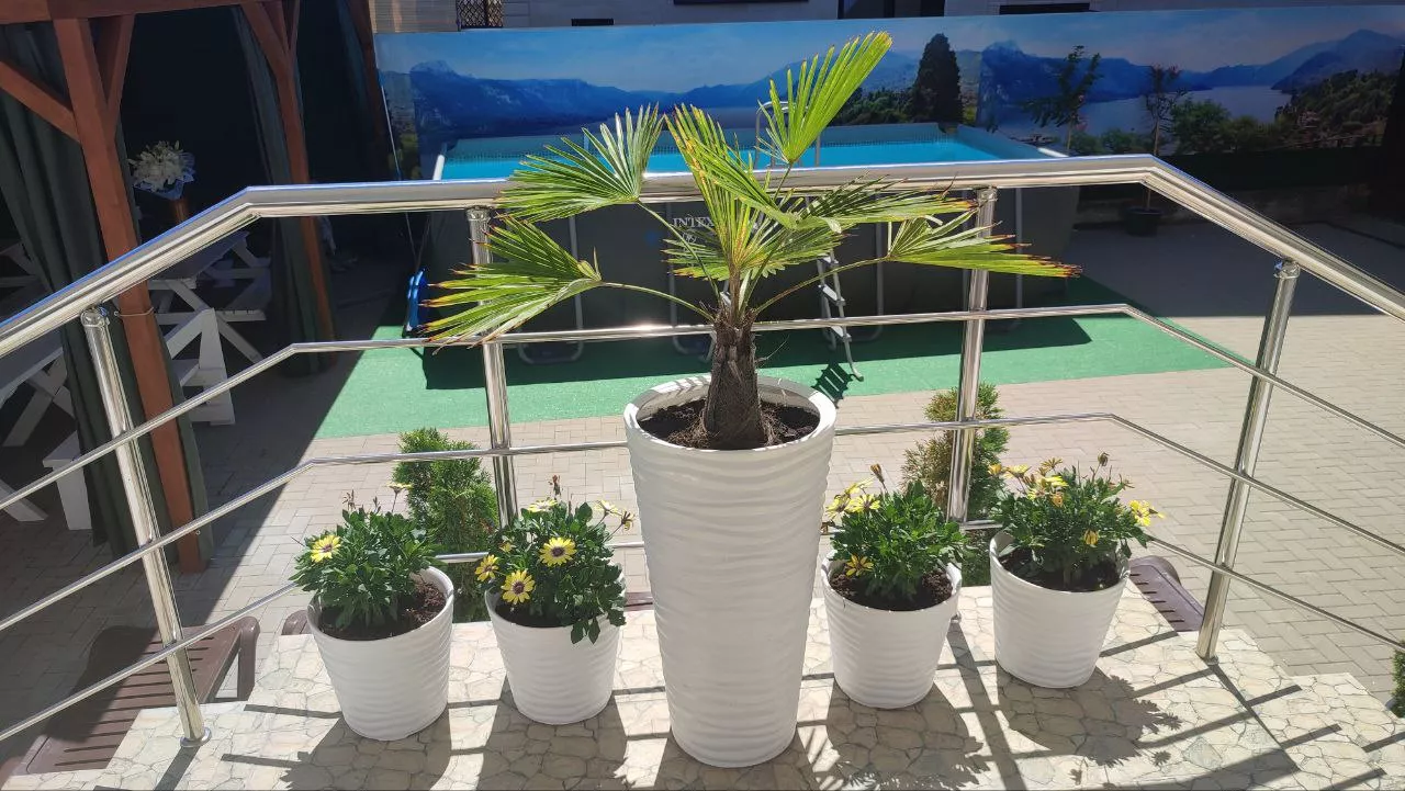 . Гостевой дом "Айсберг". Вардане