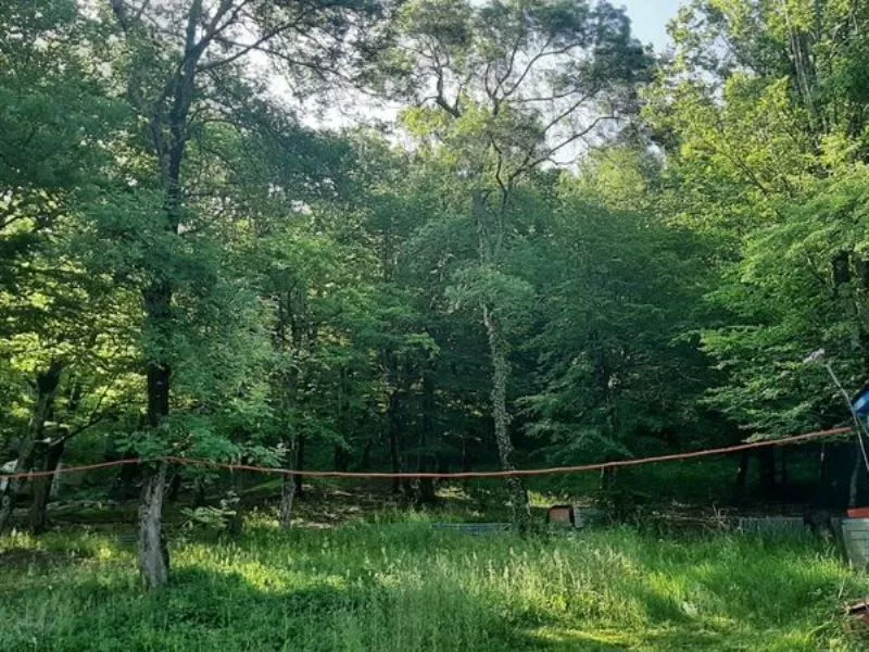 . База отдыха ЛЕТО. Бухта Инал