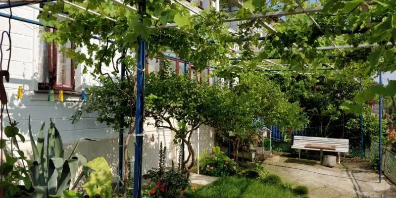 . Гостевой дом "Несник" . Гагра