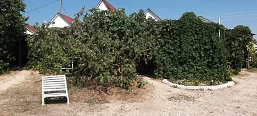 Частный сектор "Усадьба Галины" 