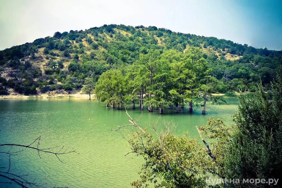 . Уютная студия "Мария" с бассейнами во дворе . Сукко