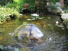 Гостиница "Вега"