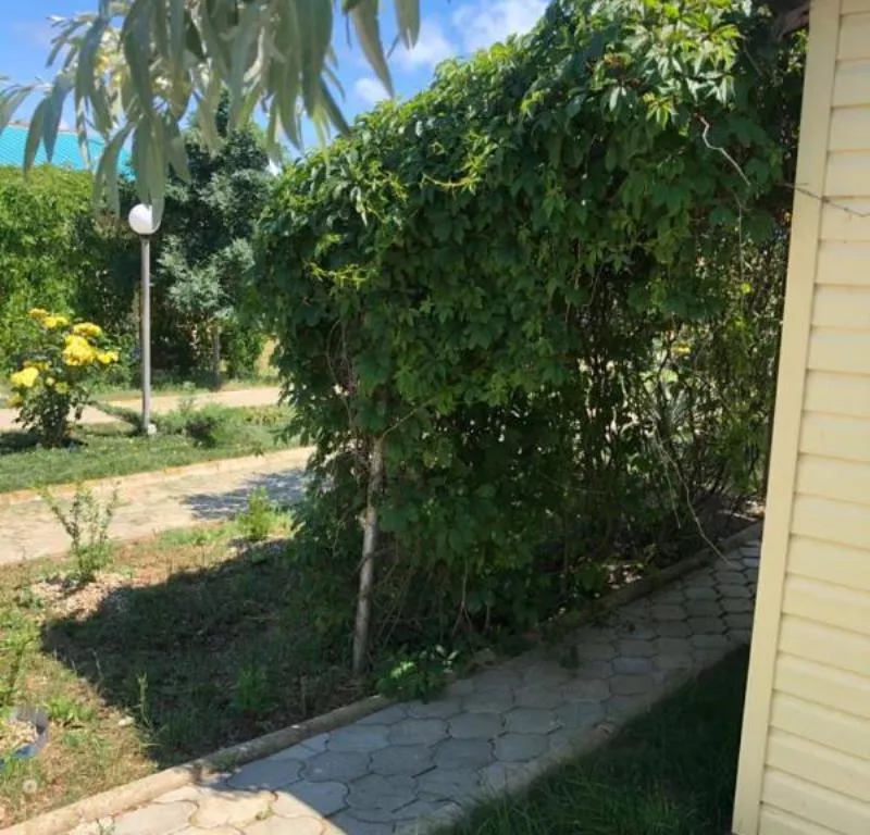 . База отдыха "Оазис". Веселовка . База отдыха "Оазис". Веселовка