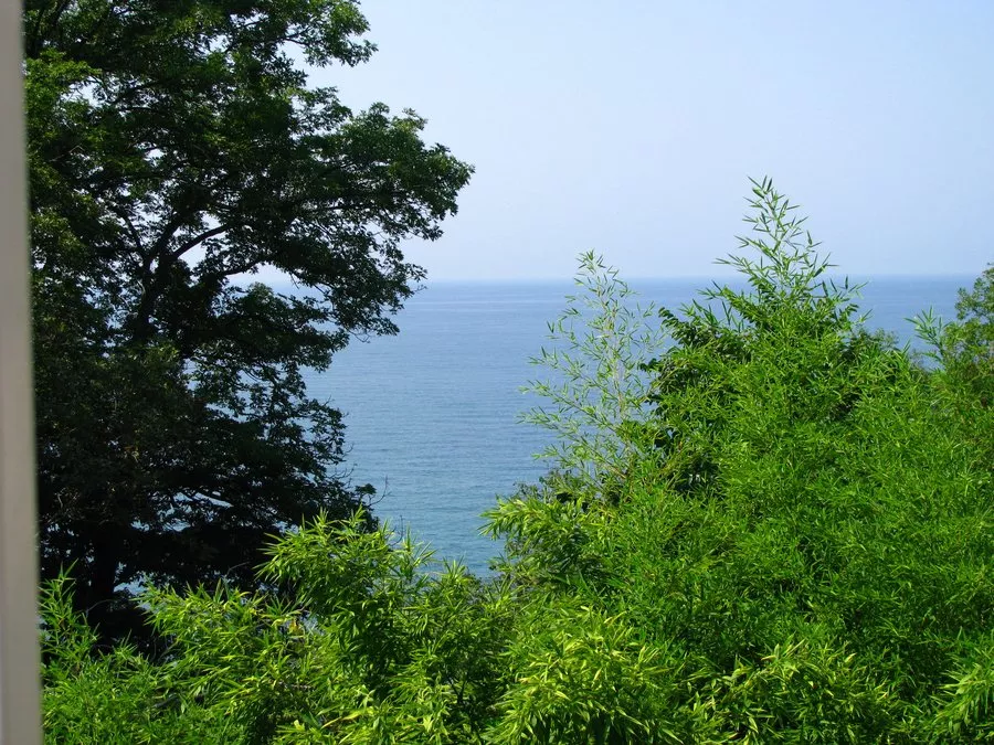 . Гостевой дом "Отис". Совет-Квадже