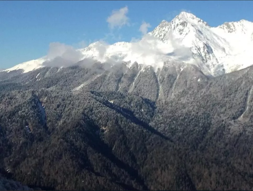 . Отель "Грейс Олимпия". Красная Поляна . Отель "Грейс Олимпия". Красная Поляна