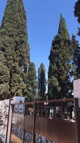 . Отель "Анна". Пицунда