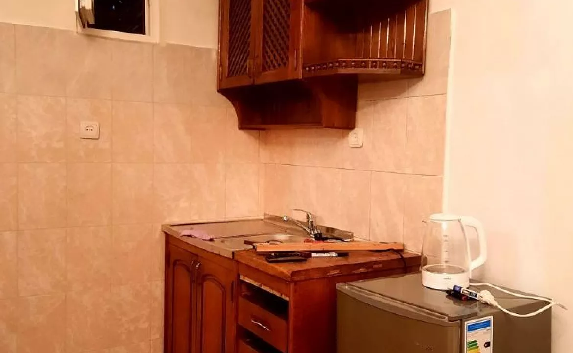 2-х местный . Частный сектор ул. Имама Шамила, 59. Сухум