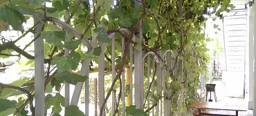 Гостевой дом "Аватар"